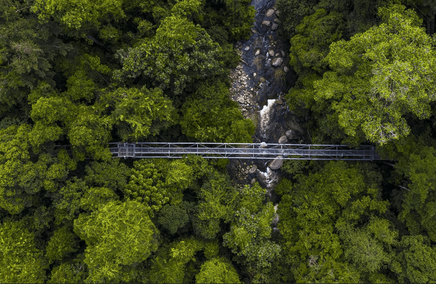 SURREAL EXPERIENCES | VISIT MALAYSIA 2026 SURREAL EXPERIENCES | VISIT MALAYSIA 2026